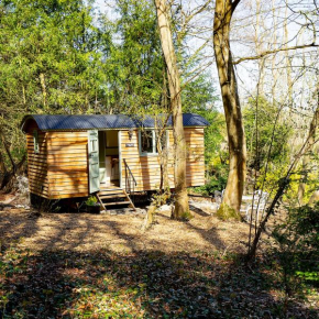 White Hill Shepherd's Hut
